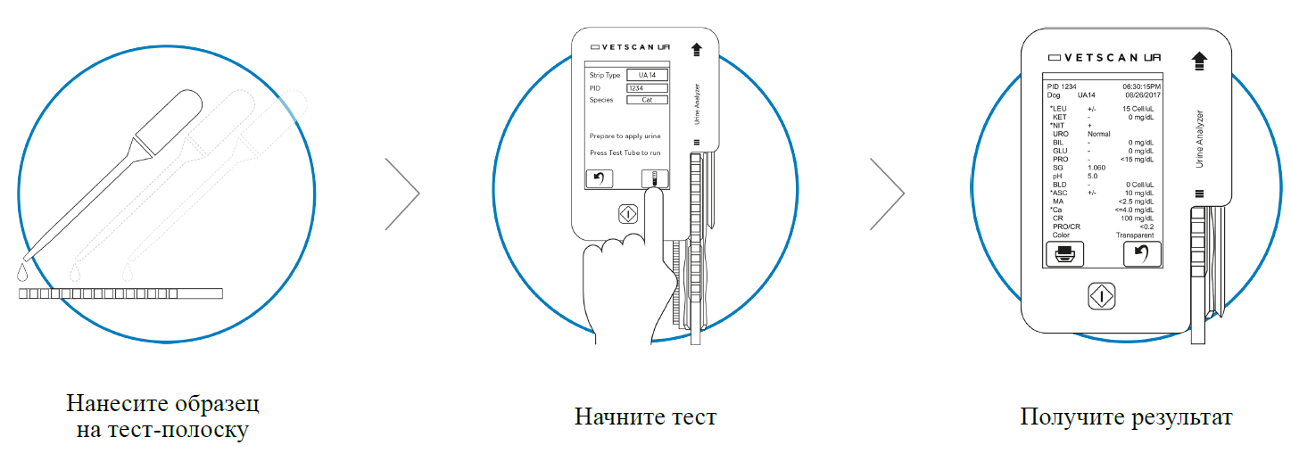 Vetscan UA Steps